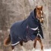 LeMieux Kudos Turnout Rug 350g