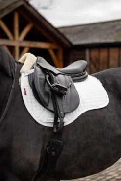 LeMieux Merino+ Half Lined GP Square -Lemieux c7fdb261 45a3 42fd ae34 44ee2405296d 1a5bd38a f2ff 453f 98f5 9ff570019615