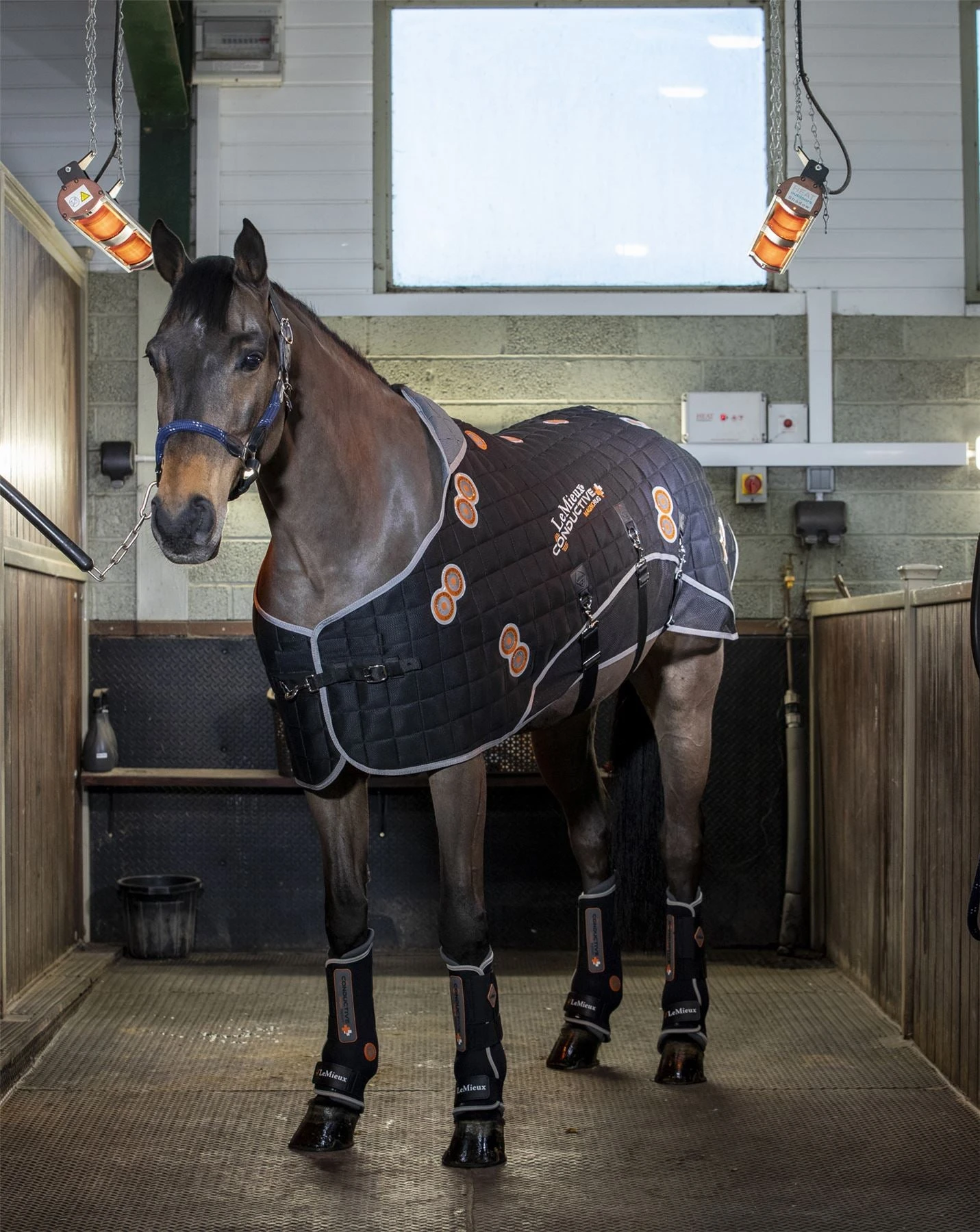 LeMieux Conductive Magno Rug 3 LeMieux Conductive Magno Rug - Image 2