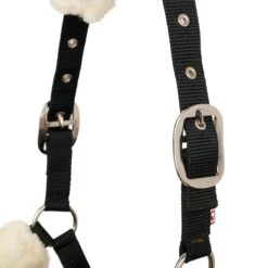 LeMieux Comfort Headcollar -Lemieux ca1d14be c28d 46f2 84dc e59a45e7b244 febe76cb 6e5b 4d82 bdaf b112b1be1816