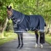 LeMieux Arika Storm-Tek Rug 100g 1 LeMieux Arika Storm-Tek Rug 100g -Lemieux ca3937cb 169b 4753 8b76 b943502cb215 65161306 122e 424e 98eb 45ac5db9bd43