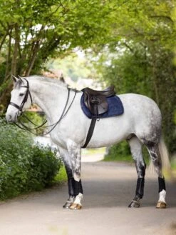 LeMieux Jump Work Pad -Lemieux cc1f2112 edbb 4c61 a527 c5d922719d32 d5952f84 5eac 4c60 a58a 01ecafcac48b