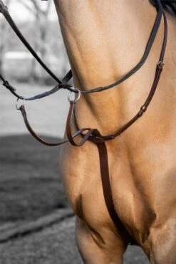 LeMieux Arika Running Martingale 21 LeMieux Arika Running Martingale -Lemieux cea05906 03d9 41ec 80bb 988fc7df9838 cc36d078 9766 4176 aba6 e9102d7d9d9c