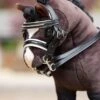 LeMieux Toy Pony Double Bridle 2 LeMieux Toy Pony Double Bridle -Lemieux d1bc225b 1884 4b80 94fd 007794e7ed07 693bee86 f3a0 4bd2 816a 40db365e3230