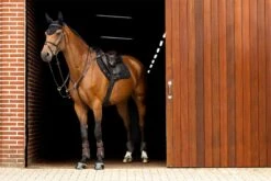 LeMieux Crystal Fly Hood 22 LeMieux Crystal Fly Hood -Lemieux d256e214 a21a 4f9f bb8c dc7ae1ed3d9f 43a6e287 1504 4c61 82f6 7a6841812f8f