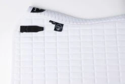 Front Page -Lemieux d2e2d0ec d1b4 4043 9625 a82fe262b54a a752bf14 ac28 4b02 a88c cb716e07f841