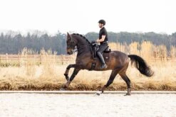 LeMieux Puissance Suede Dressage Pad -Lemieux d3ddc24f 28b2 4413 a910 415e5b939969 1293cacf 527f 46ee 90c4 91e64b38be9b