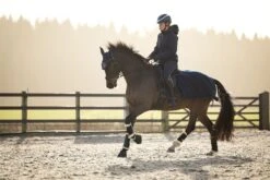 LeMieux Clima-Tek Exercise Quarter Sheet -Lemieux d44a9020 e624 4ba0 9825 2f0d3a9d9cd8