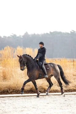 LeMieux Puissance Suede Dressage Pad -Lemieux d44f4b35 473d 4760 8dd0 17ca86315b33 3353432d b7d1 42ec a7b2 b58f3c9826f5