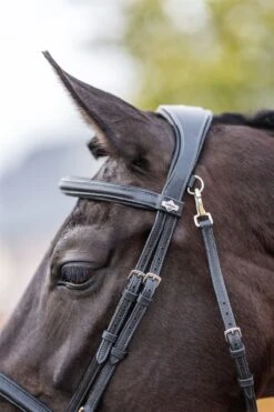 LeMieux Work Bridle -Lemieux d5cb34bc 77b0 48de 8835 4fcea252b2d7 c3c79334 ff1d 49b8 afaa 1c60fdfc50f3