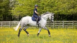 LeMieux Jump Work Pad -Lemieux d8c87e8e c854 4eb5 be83 7c0ee12faa6b 9c692368 1d91 4383 b2db 896dd43de036