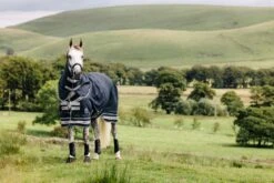 LeMieux Arika Storm-Tek Rug 100g -Lemieux dce359e5 63ec 474e 83ba 7de6e7e0d9aa 733878e4 f306 4542 b405 3905b075e665