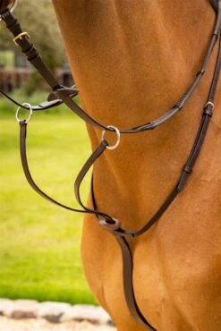 LeMieux Arika Running Martingale 18 LeMieux Arika Running Martingale -Lemieux e2a578ad 49db 49ed 96c2 30436b7ed907
