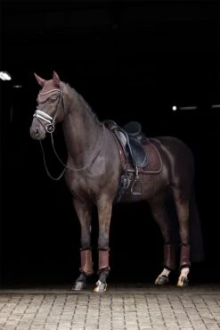 LeMieux Crystal Suede Dressage Pad -Lemieux e7170000 913e 4ae4 b57f 6726a9a5a851 59326b08 25cd 4d98 a9c4 9cd69d97ac59