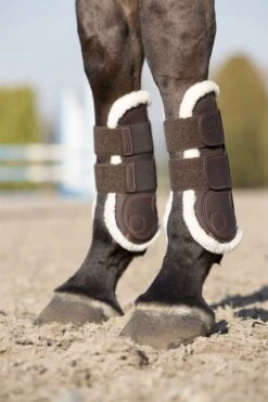 LeMieux Capella Comfort Tendon Boots -Lemieux e822f448 19ad 41ea 9e31 11080f7b44a6 95971cc7 8181 4d08 b650 fe5388d2adf9