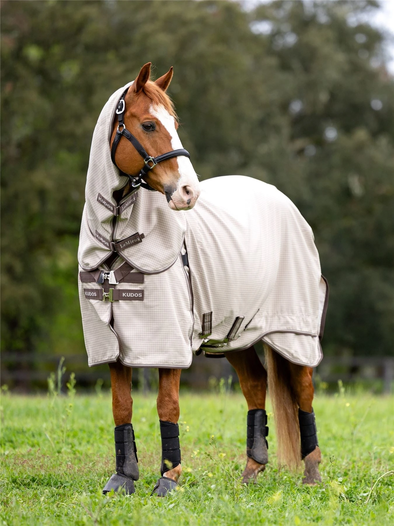 LeMieux Kudos Field Rug 3 LeMieux Kudos Field Rug