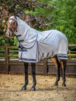 LeMieux Kudos Shower Pro Waterproof Fly Rug -Lemieux e99a42a2 0197 498c 85d2 3b0bf7b6c053 1a19a585 21c6 4693 a78d e45f197b79dc