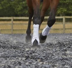 LeMieux Ultra Mesh Snug Boots Front -Lemieux eb060661 e27b 4096 afcf de710b59e5f7 ff2723a4 fdc1 449f 839b 4121dd2988c7