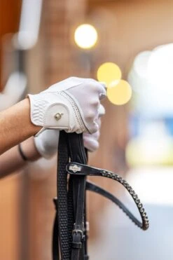 LeMieux Crystal Gloves 20 LeMieux Crystal Gloves -Lemieux ebc2a603 bae6 4388 a29c efbe865406bf 7de43afc 6d68 4077 b871 9a0dc073feb6