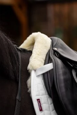 LeMieux Merino+ Half Lined GP Square -Lemieux ec8c4eb1 210d 4155 8eaa f489a4262e61 6379f3d6 2ec0 404d a2b8 773d6c61fa05