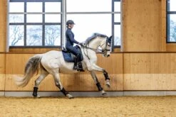 LeMieux Dressage Work Pad 23 LeMieux Dressage Work Pad -Lemieux edb90656 d995 4d57 863d 68f4a69f17da 7628ff23 cfc5 4d58 a666 25374650bdd9