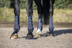 LeMieux Ultra Mesh Snug Boots Hind -Lemieux f2b23ad7 8266 4742 a1e0 1a9da927500a