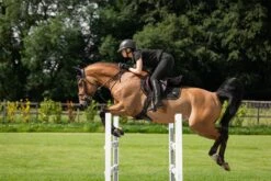 LeMieux Puissance Suede CC Pad -Lemieux f37e41a8 8c9f 471f 9461 10d72137ccdf