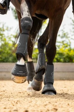 LeMieux Motionflex Dressage Boot 15 LeMieux Motionflex Dressage Boot -Lemieux f5e92533 f65b 409c a177 9d671829f115 343a9964 b6c4 4abc 8a97 5c924f699e61