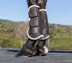 LeMieux Capella Comfort Tendon Boots -Lemieux f6419238 fd42 42e7 9591 5a0ef8a46547 1f8a3966 ddde 4da2 a251 98e785f9abe3