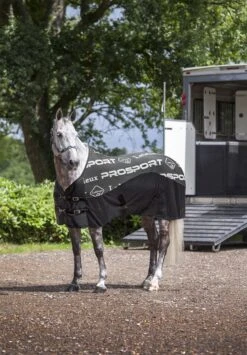 LeMieux Carbon Cooler Rug 10 LeMieux Carbon Cooler Rug -Lemieux f7c0e2bf 3b1c 4356 8f2d cc28adf61038 6b2805d4 519f 4d77 9466 dc4a0de6ea2b