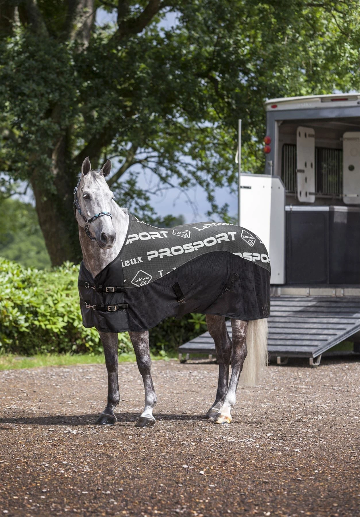 LeMieux Carbon Cooler Rug 5 LeMieux Carbon Cooler Rug - Image 3