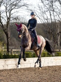 LeMieux Mia Mesh Long Sleeve Base Layer 12 LeMieux Mia Mesh Long Sleeve Base Layer -Lemieux f86b59e9 815f 4077 8b28 bc53418f9607 455fdf04 fa65 4bfb 910f 096775f0ef2a