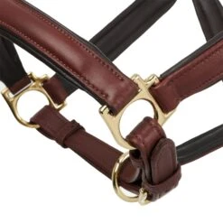 LeMieux Anatomic Headcollar 23 LeMieux Anatomic Headcollar -Lemieux f9c00daa 778a 46b2 a1be c3d1233098e5 63bdcce2 6947 4e58 9041 517b663e5533