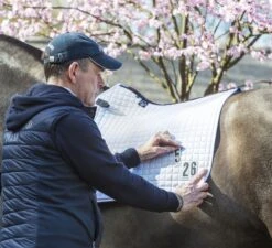 LeMieux Cotton Dressage Competition Square 10 LeMieux Cotton Dressage Competition Square -Lemieux fd48bd5c f67b 4adb 84f5 f8930a11df68 926d6c10 8fec 4af1 b560 07f5ef0f1a77