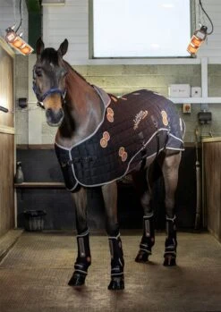 LeMieux Conductive Magno Rug 9 LeMieux Conductive Magno Rug -Lemieux ffc242c5 fa75 46e1 a4c5 6a21f563fb90 a654e5d7 5174 4b28 b18c 090129486d44