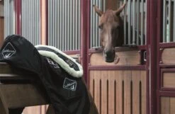 LeMieux Integrated Dressage Girth 24 LeMieux Integrated Dressage Girth -Lemieux fffc45d6 ead4 4cbd 9e76 d5899f044d6a e1e75a4d 69b7 4cf4 af74 42b81df8ffe1