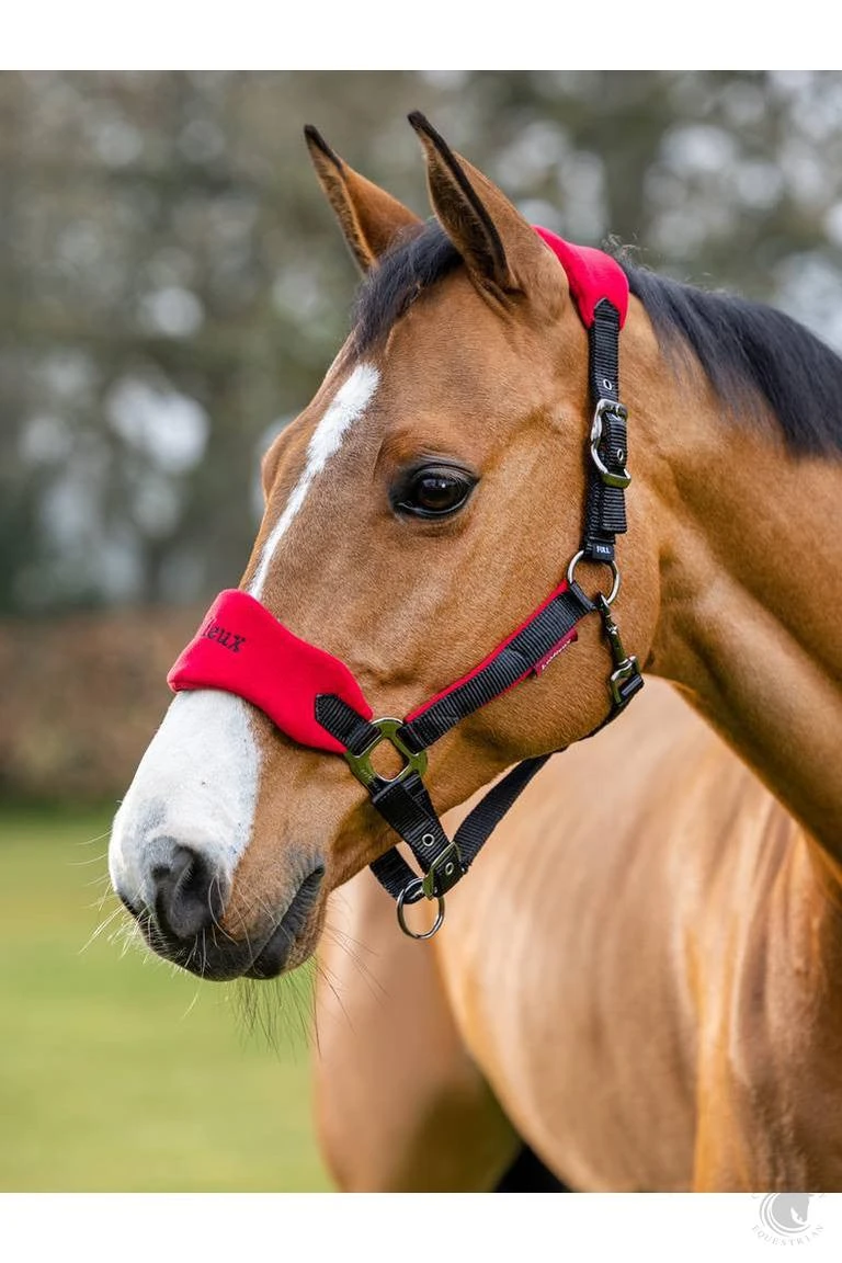 LeMieux Vogue Headcollar & Leadrope Chilli 4 LeMieux Vogue Headcollar & Leadrope Chilli - Image 2