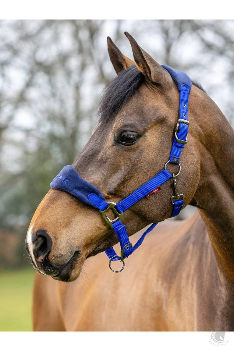 LeMieux Vogue Headcollar & Leadrope Blue 4 LeMieux Vogue Headcollar & Leadrope Blue - Image 2