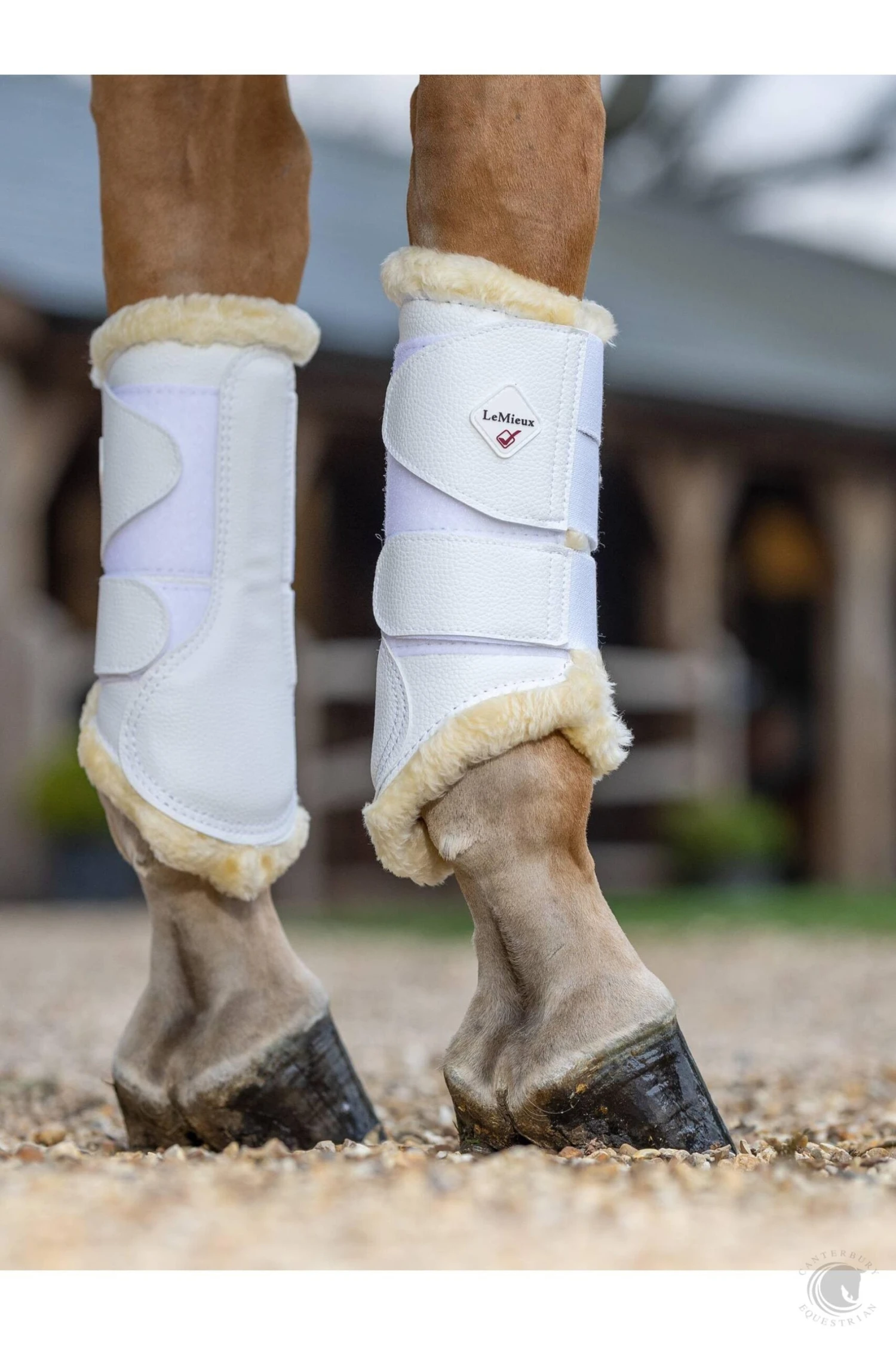 LeMieux Fleece Lined Brushing Boots White 4 LeMieux Fleece Lined Brushing Boots White - Image 2