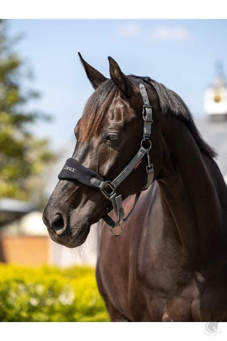 LeMieux Vogue Headcollar & Leadrope Black 4 LeMieux Vogue Headcollar & Leadrope Black - Image 2