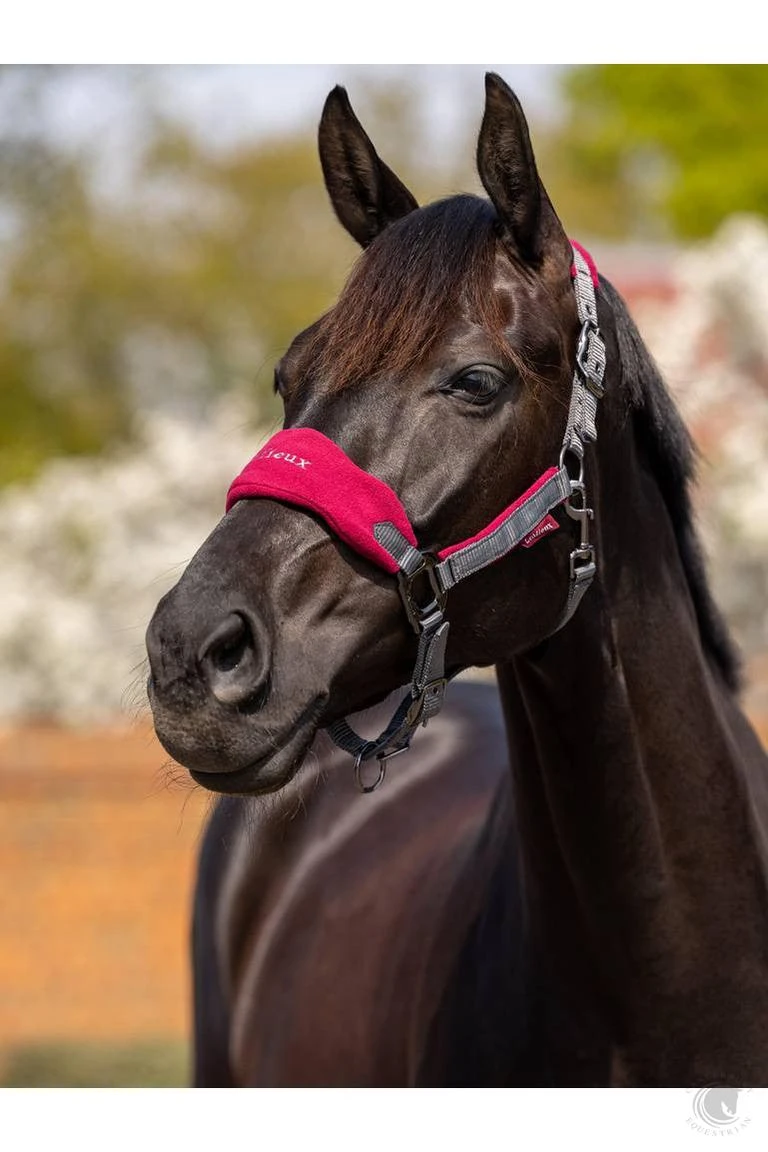 LeMieux Vogue Headcollar & Leadrope Mulberry 4 LeMieux Vogue Headcollar & Leadrope Mulberry - Image 2