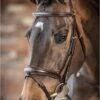 LeMieux Kudos Competition Flash Bridle Havana 1 LeMieux Kudos Competition Flash Bridle Havana -Lemieux g0a7025 1