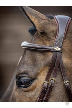 LeMieux Kudos Competition Flash Bridle Havana -Lemieux g0a7191