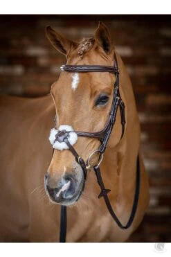 LeMieux Figure 8 Bridle Havana Bridle -Lemieux g0a7229 88c1686a 1d95 4a42 8496 d7a3421cadde