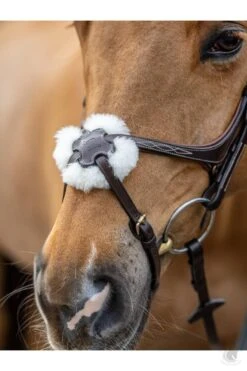 LeMieux Figure 8 Bridle Havana Bridle -Lemieux g0a7269