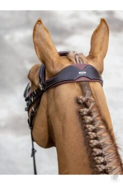 LeMieux Kudos Competition Flash Bridle Havana -Lemieux g0a7434