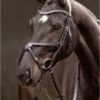 LeMieux Arika Figure 8 Bridle Black/Silver -Lemieux grackle bridle black