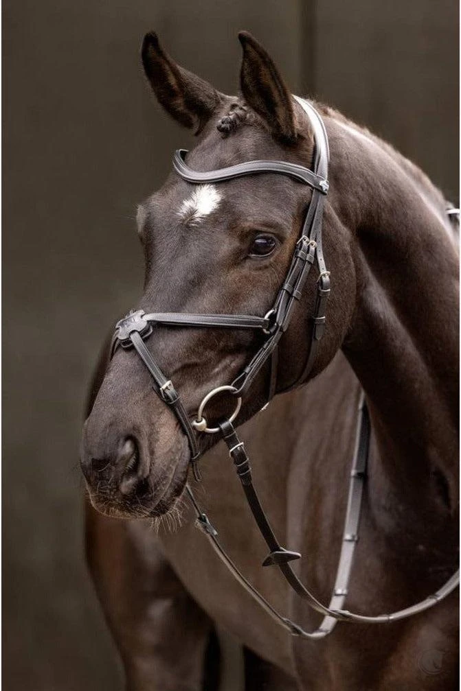 LeMieux Arika Figure 8 Bridle Black/Silver 3 LeMieux Arika Figure 8 Bridle Black/Silver