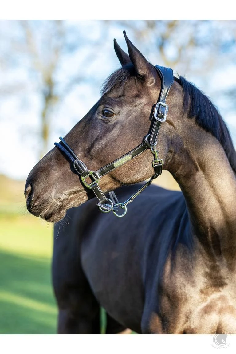 LeMieux Rope Control Headcollar Black 4 LeMieux Rope Control Headcollar Black - Image 2