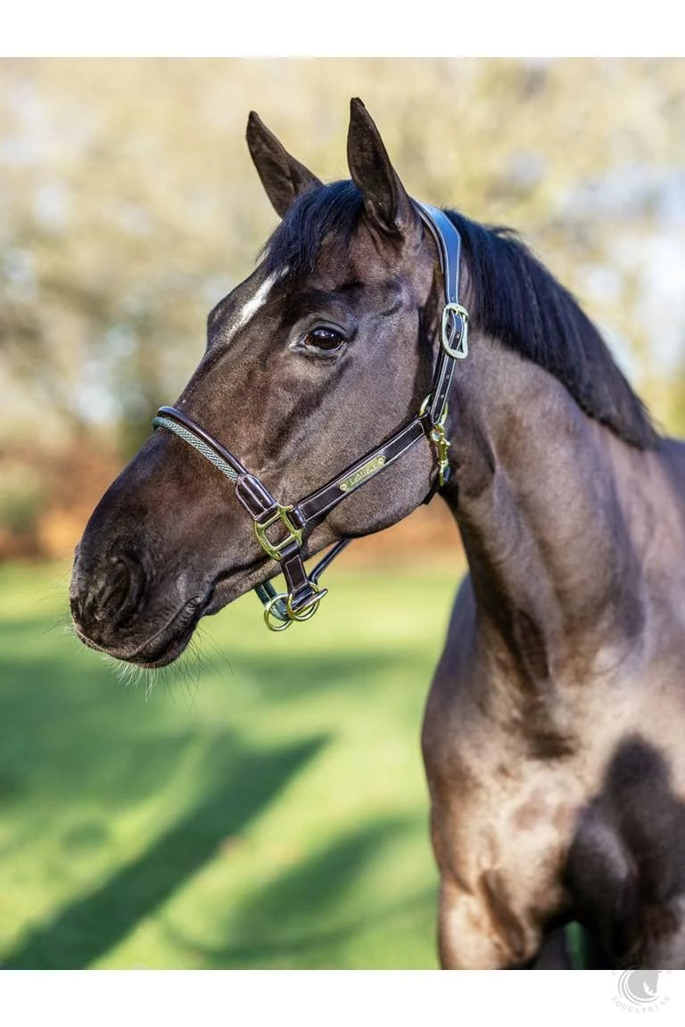 LeMieux Rope Control Headcollar Brown 4 LeMieux Rope Control Headcollar Brown - Image 2
